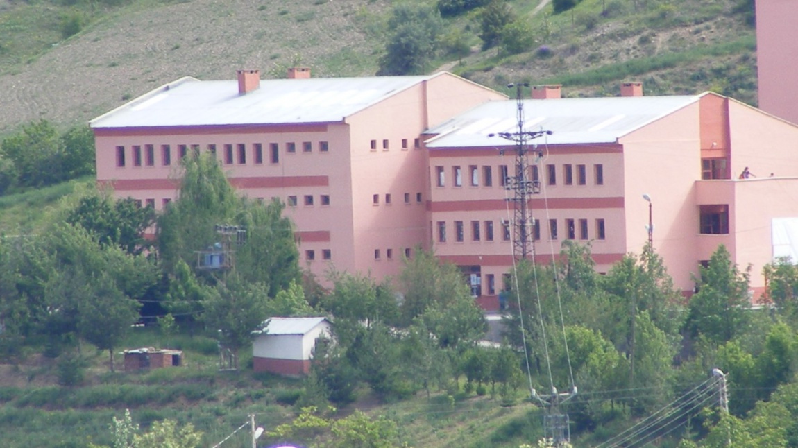 Kılıçkaya Şehit Albay Cevat Erten Ortaokulu Fotoğrafı